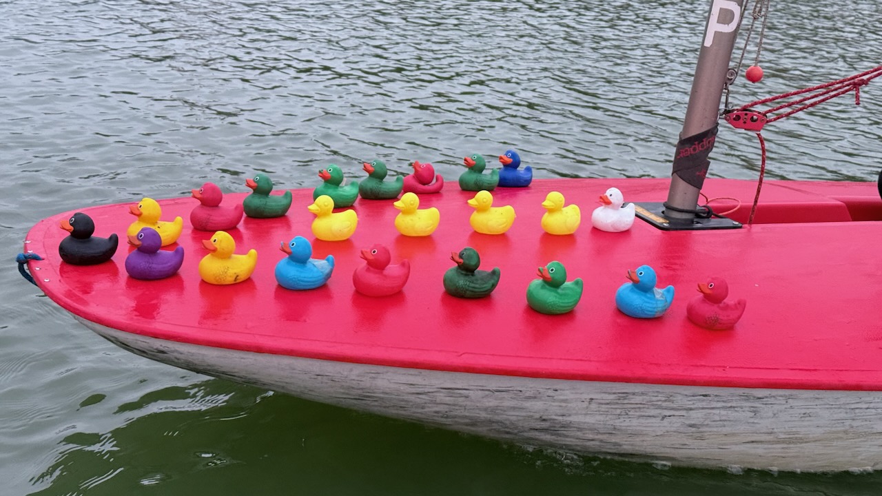 Sunday Sailing October 2024 - Photo 16