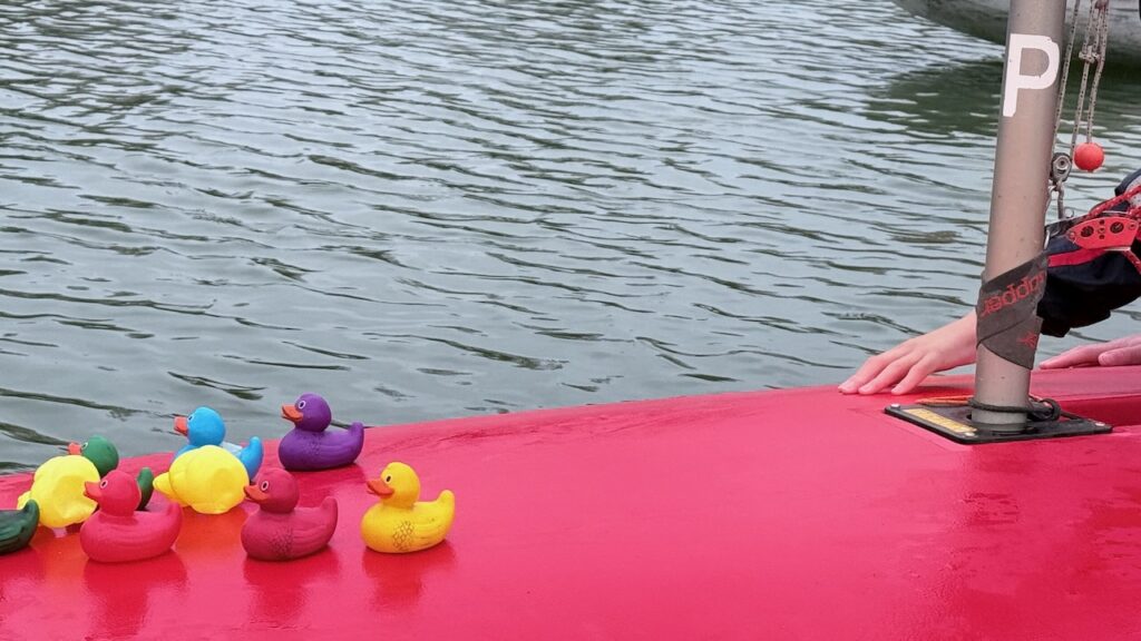 Sunday Sailing October 2024 - Photo 22