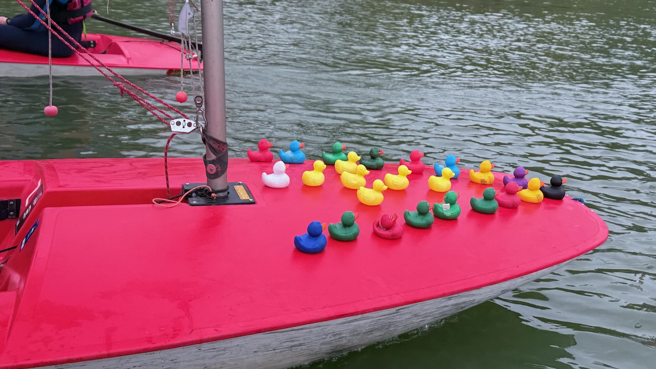 Sunday Sailing October 2024 - Photo 8